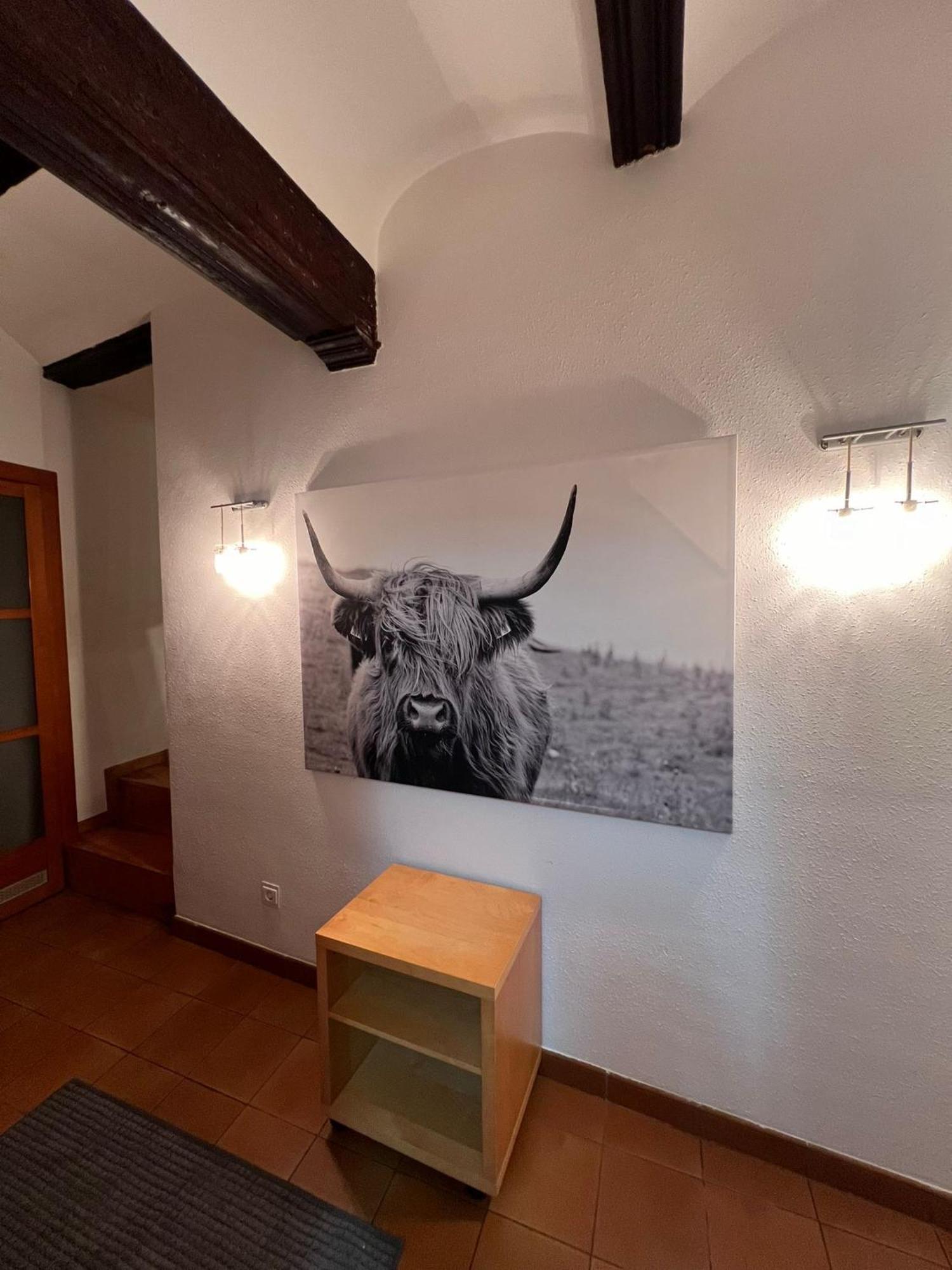 Encantador Apartamento En Estella-Lizarra Dış mekan fotoğraf